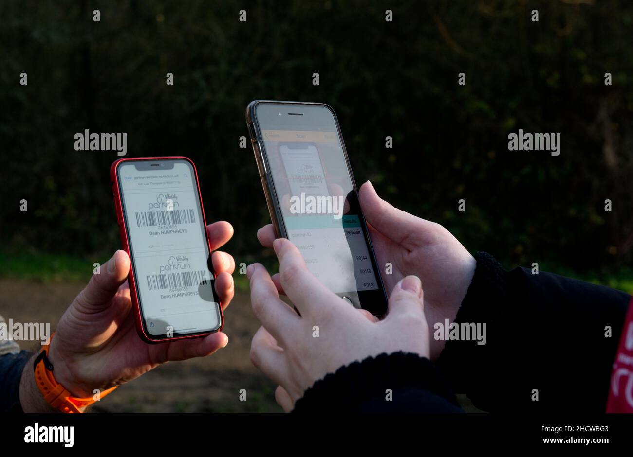 Parklauf UK. Ein Freiwilliger, der einen Finisher`s Barcode mit einem Telefon einscannt. Stockfoto